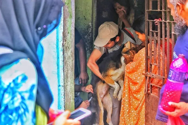 mass dog vaccination bangladesh